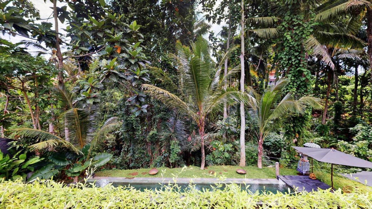 فندق Six Cubes Ubud المظهر الخارجي الصورة
